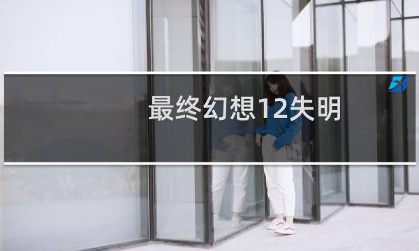 最终幻想12失明