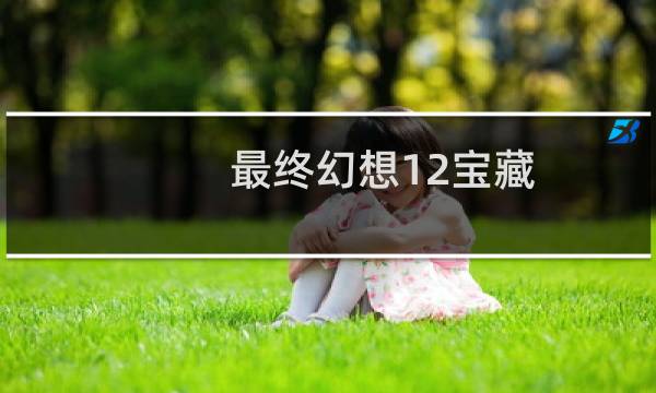 最终幻想12宝藏