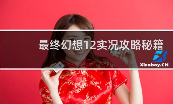 最终幻想12实况攻略秘籍