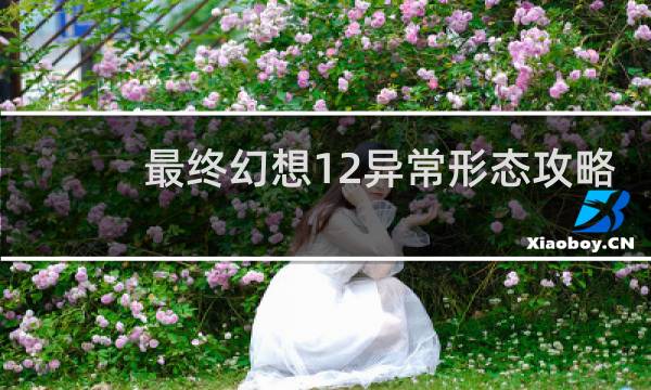 最终幻想12异常形态攻略