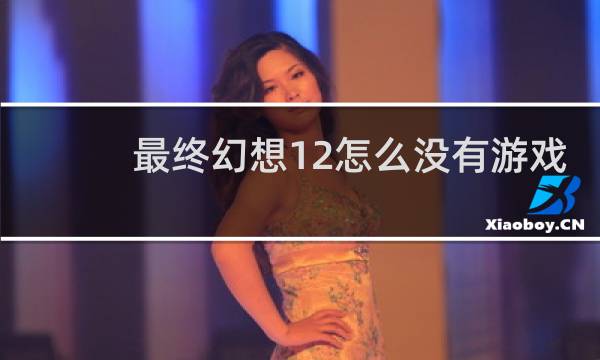 最终幻想12怎么没有游戏