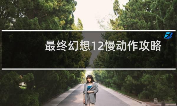 最终幻想12慢动作攻略