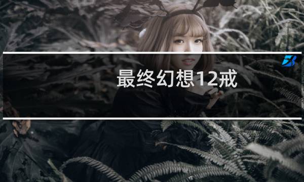 最终幻想12戒