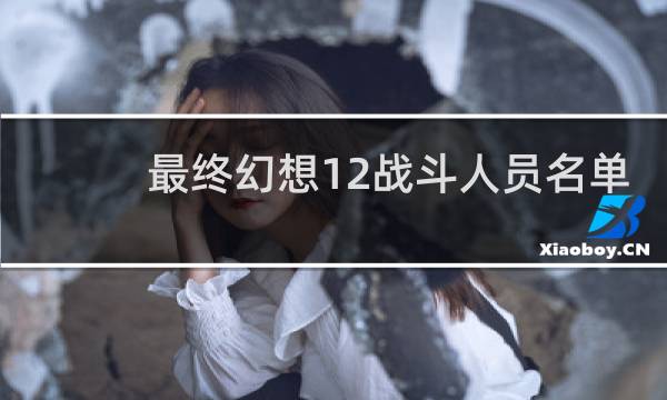 最终幻想12战斗人员名单
