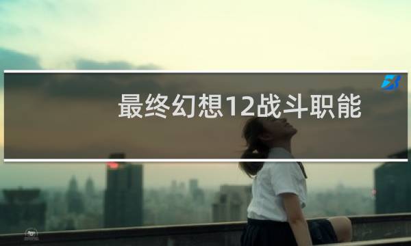 最终幻想12战斗职能