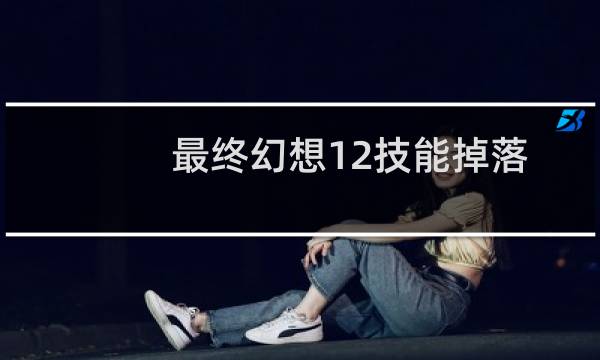 最终幻想12技能掉落