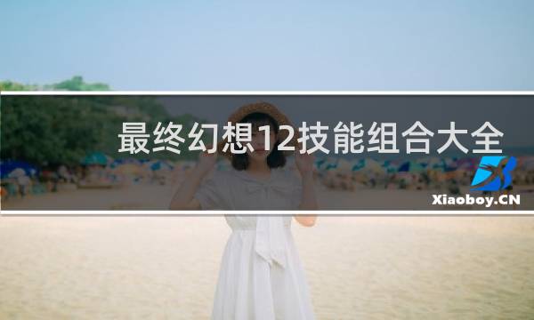 最终幻想12技能组合大全