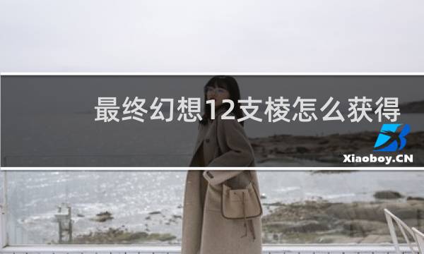 最终幻想12支棱怎么获得