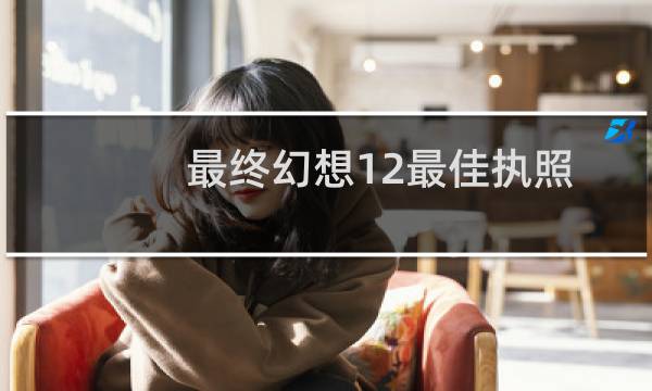 最终幻想12最佳执照