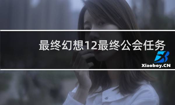 最终幻想12最终公会任务