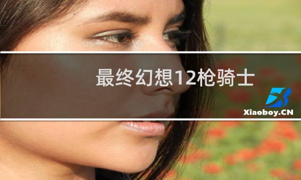 最终幻想12枪骑士