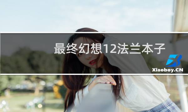 最终幻想12法兰本子