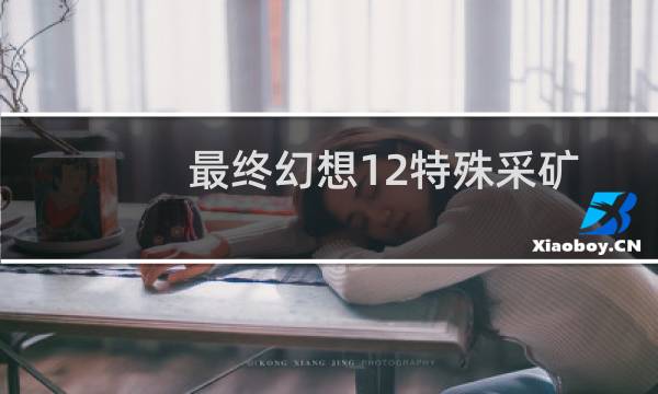 最终幻想12特殊采矿