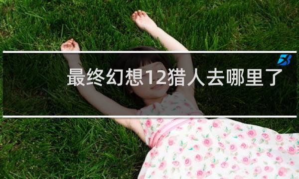 最终幻想12猎人去哪里了