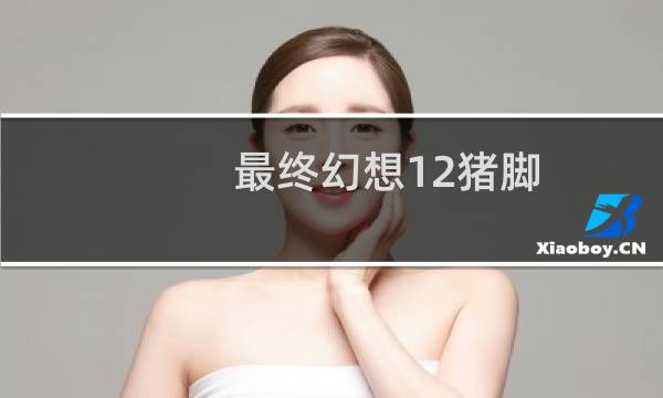 最终幻想12猪脚