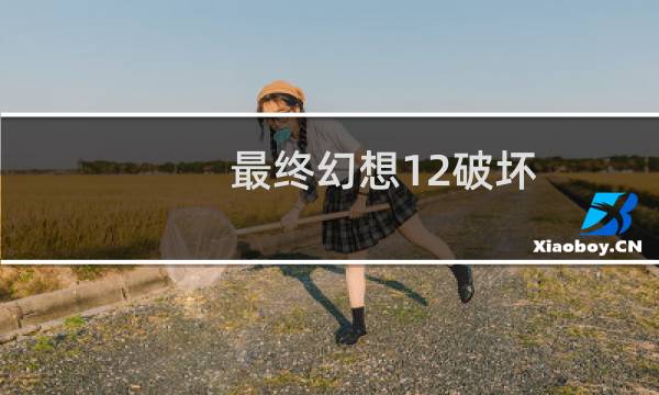 最终幻想12破坏