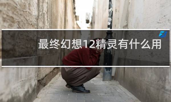 最终幻想12精灵有什么用