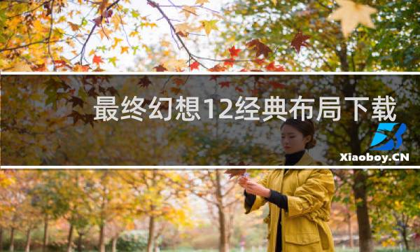 最终幻想12经典布局下载