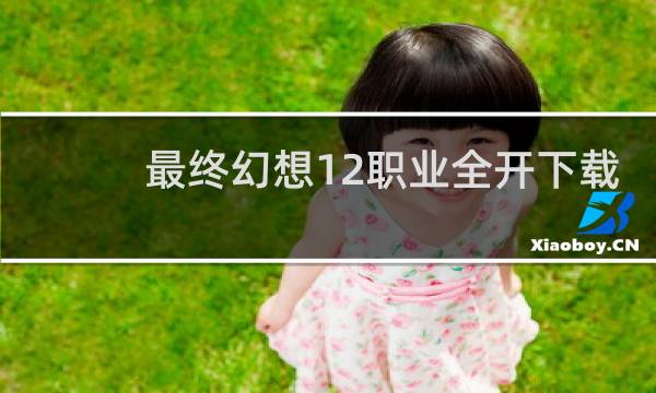 最终幻想12职业全开下载