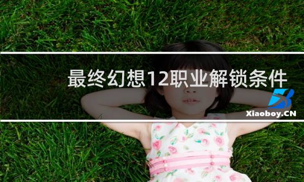 最终幻想12职业解锁条件