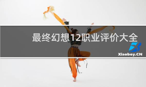 最终幻想12职业评价大全