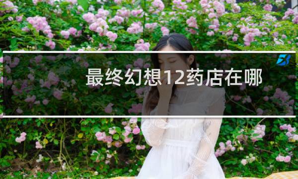 最终幻想12药店在哪
