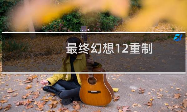 最终幻想12重制 职业