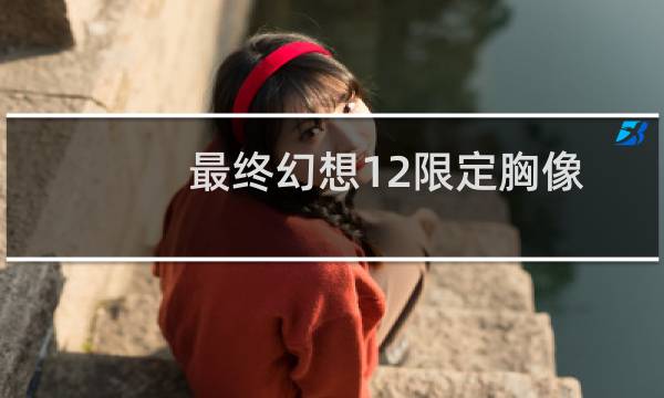 最终幻想12限定胸像