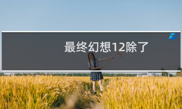 最终幻想12除了