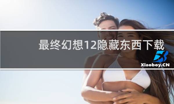 最终幻想12隐藏东西下载