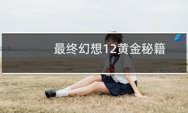 最终幻想12黄金秘籍