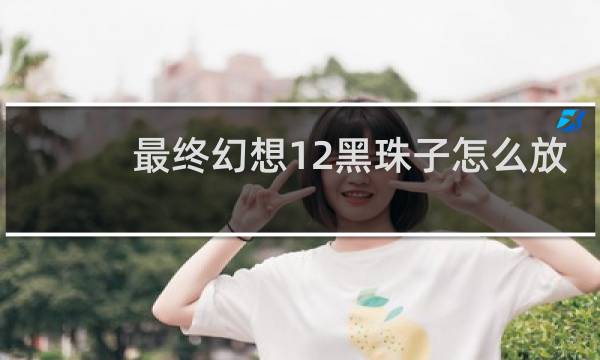 最终幻想12黑珠子怎么放