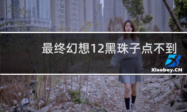 最终幻想12黑珠子点不到