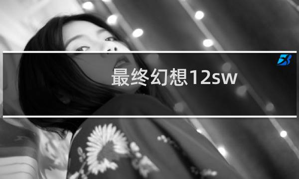 最终幻想12sw
