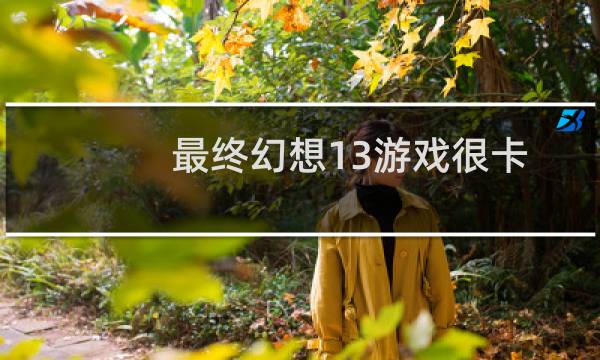 最终幻想13游戏很卡