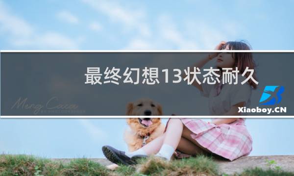 最终幻想13状态耐久