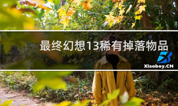 最终幻想13稀有掉落物品