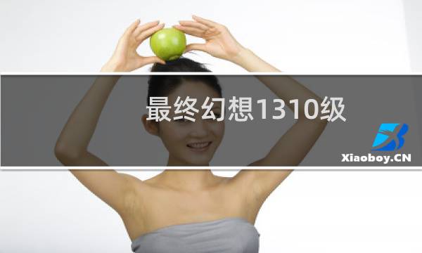 最终幻想1310级