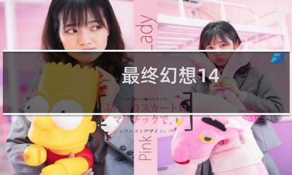 最终幻想14 插件合集