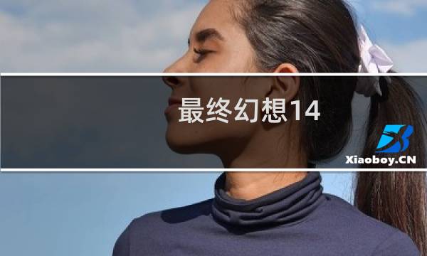 最终幻想14 电脑