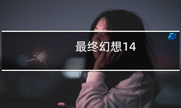 最终幻想14 追求
