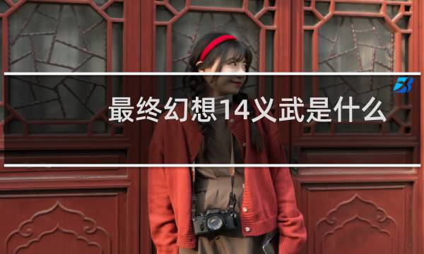 最终幻想14义武是什么