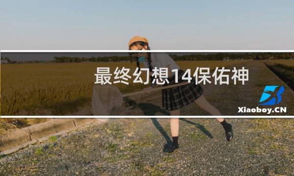最终幻想14保佑神
