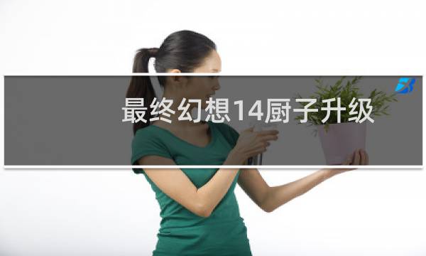 最终幻想14厨子升级