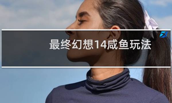 最终幻想14咸鱼玩法