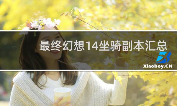 最终幻想14坐骑副本汇总