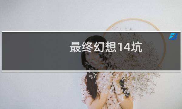 最终幻想14坑