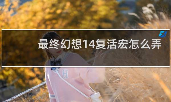 最终幻想14复活宏怎么弄