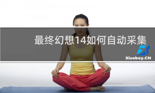 最终幻想14如何自动采集