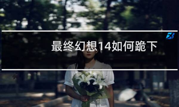 最终幻想14如何跪下